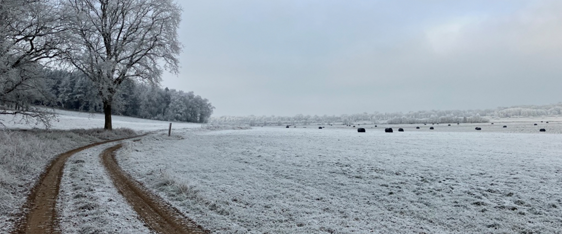 &nbsp;