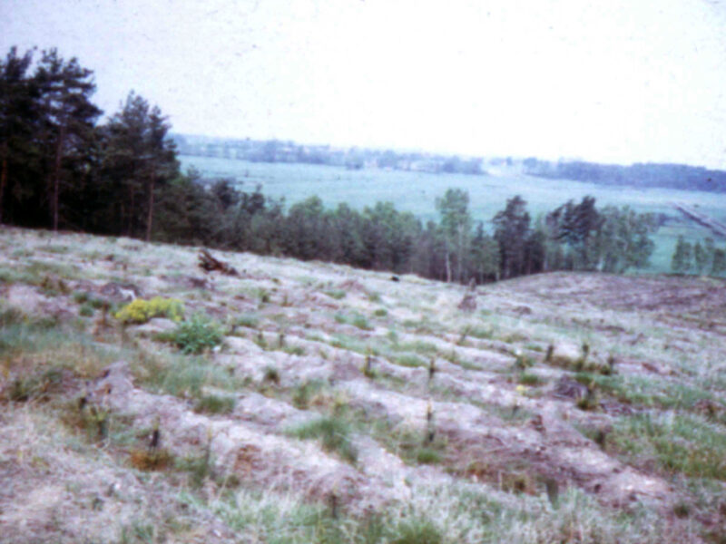Blick Richtung Friedheim